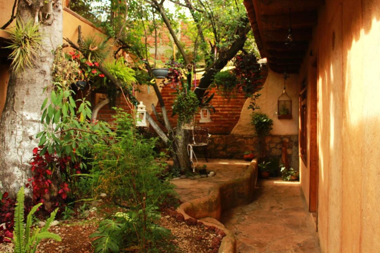 Hospedaje Boutique Paz Creativa San Cristobal de las Casas Exterior photo
